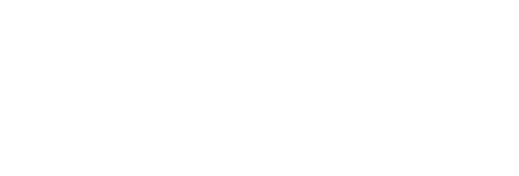 Tara Hammett